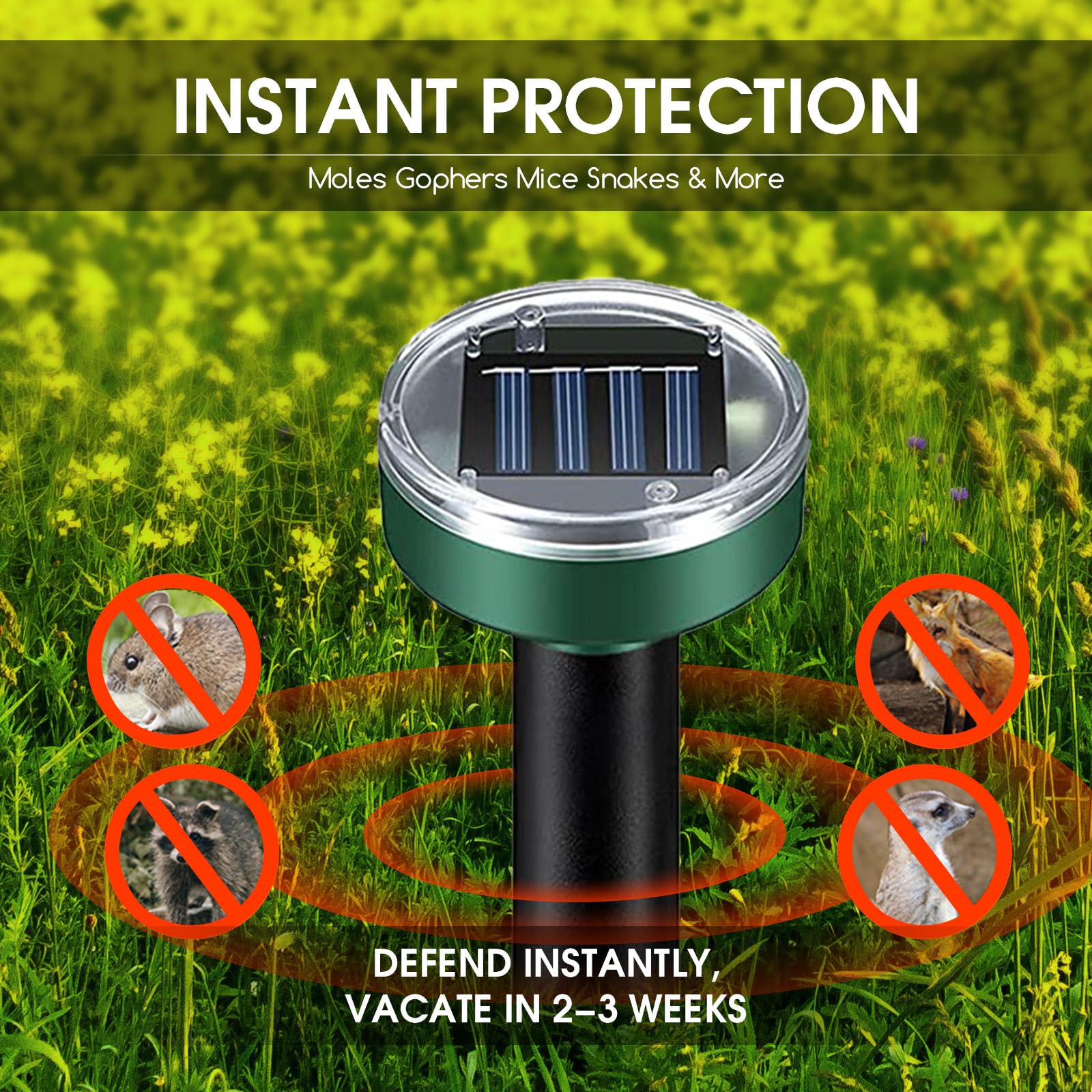 Ultrasonic gopher deterrent stake by ZLieatmp shields yards without chemicals.