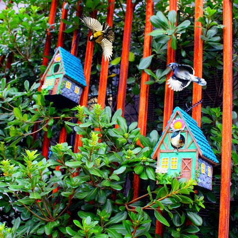 ZLSZTMI bird house outdoor blue side view, sturdy hanging.