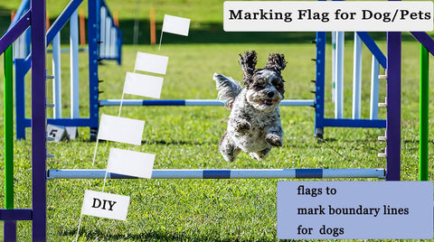 ZLY white flag parade decorations on-stick for lineups