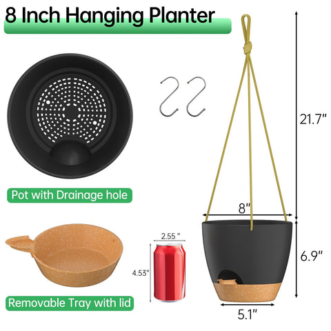 Drainage holes promote soil aeration and prevent waterlogging