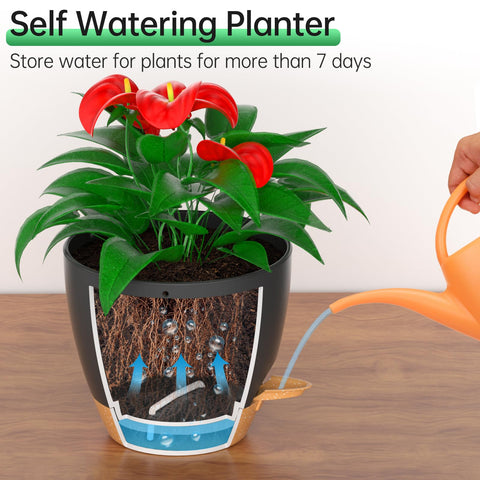 ZMTECH self-watering reservoir with cotton rope sustains hydration for 7–10 days.