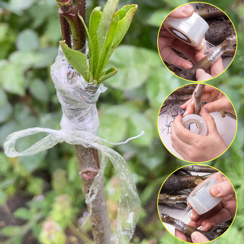 ZNBSIXP 3-pack grafting tape set shown for nursery and home gardens.
