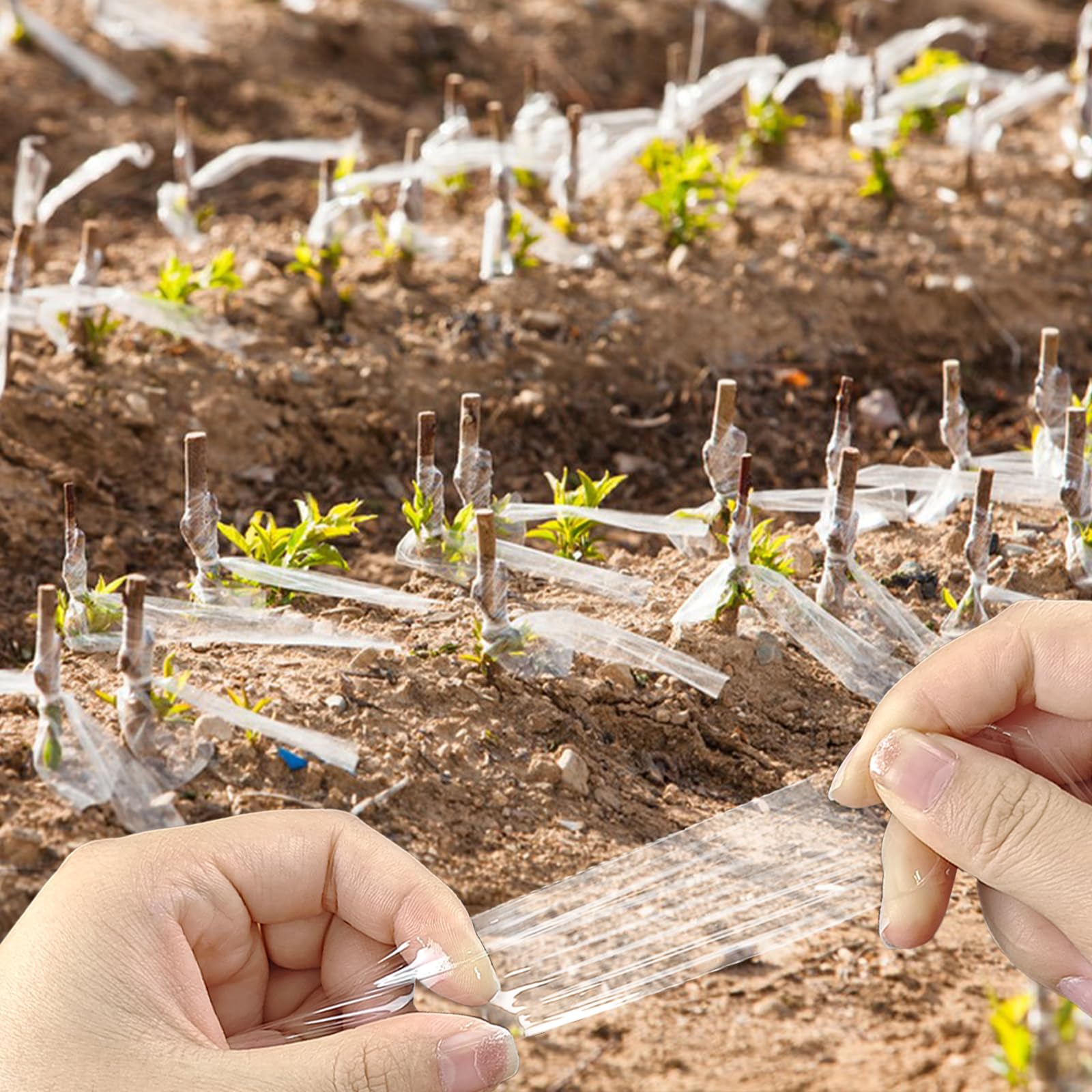 ZNBSIXP long rolls ideal for large grafting projects outdoors.
