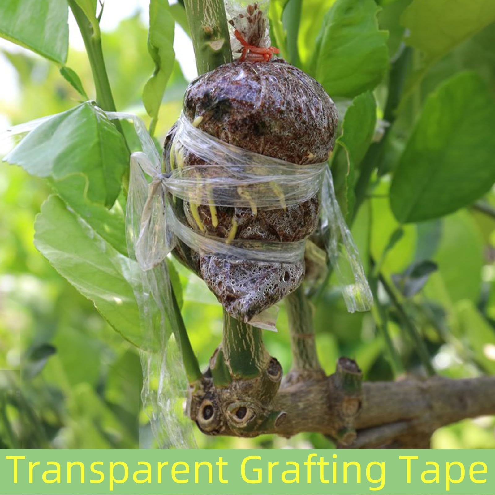 ZNBSIXP waterproof breathable tape features a moisture barrier around grafting sites.