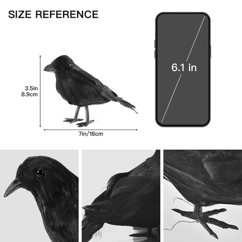 ZODIFEVI Bonarty crow short feathers highlighted for compact garden display.