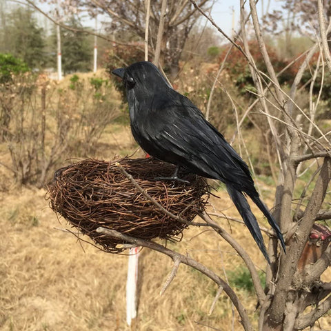 ZODIFEVI Bonarty crow tilted head emphasizes lifelike curiosity for eerie scenes.