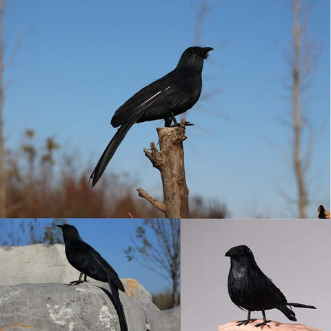 ZODIFEVI Bonarty Halloween crow display creates dramatic raven presence at dusk.