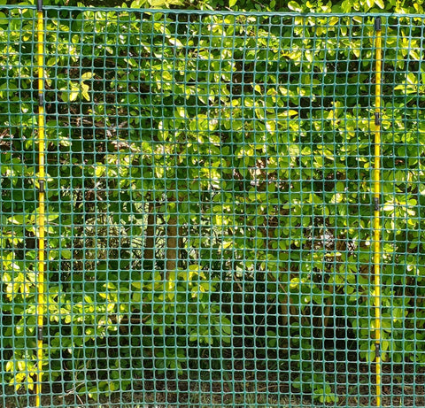 Zoiut versatile post suitable for gardening, fencing, crowd control, and animal boundaries