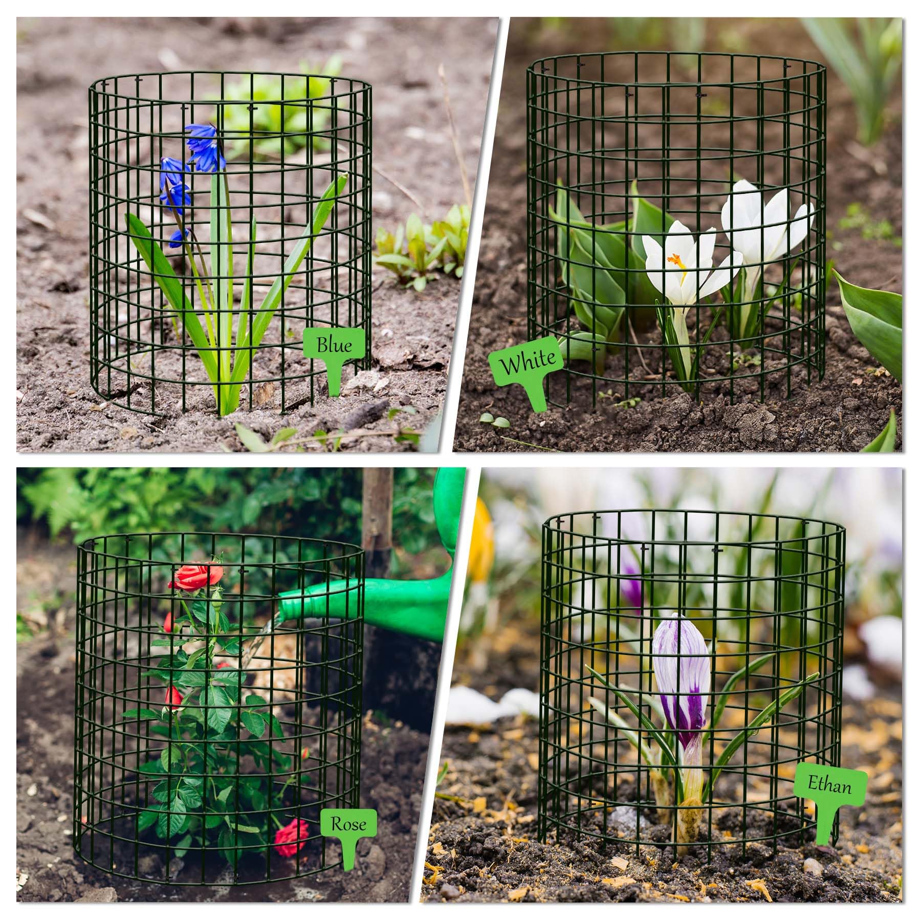 ZOKCC animal protection cages deter rabbits, chipmunks, and mice.