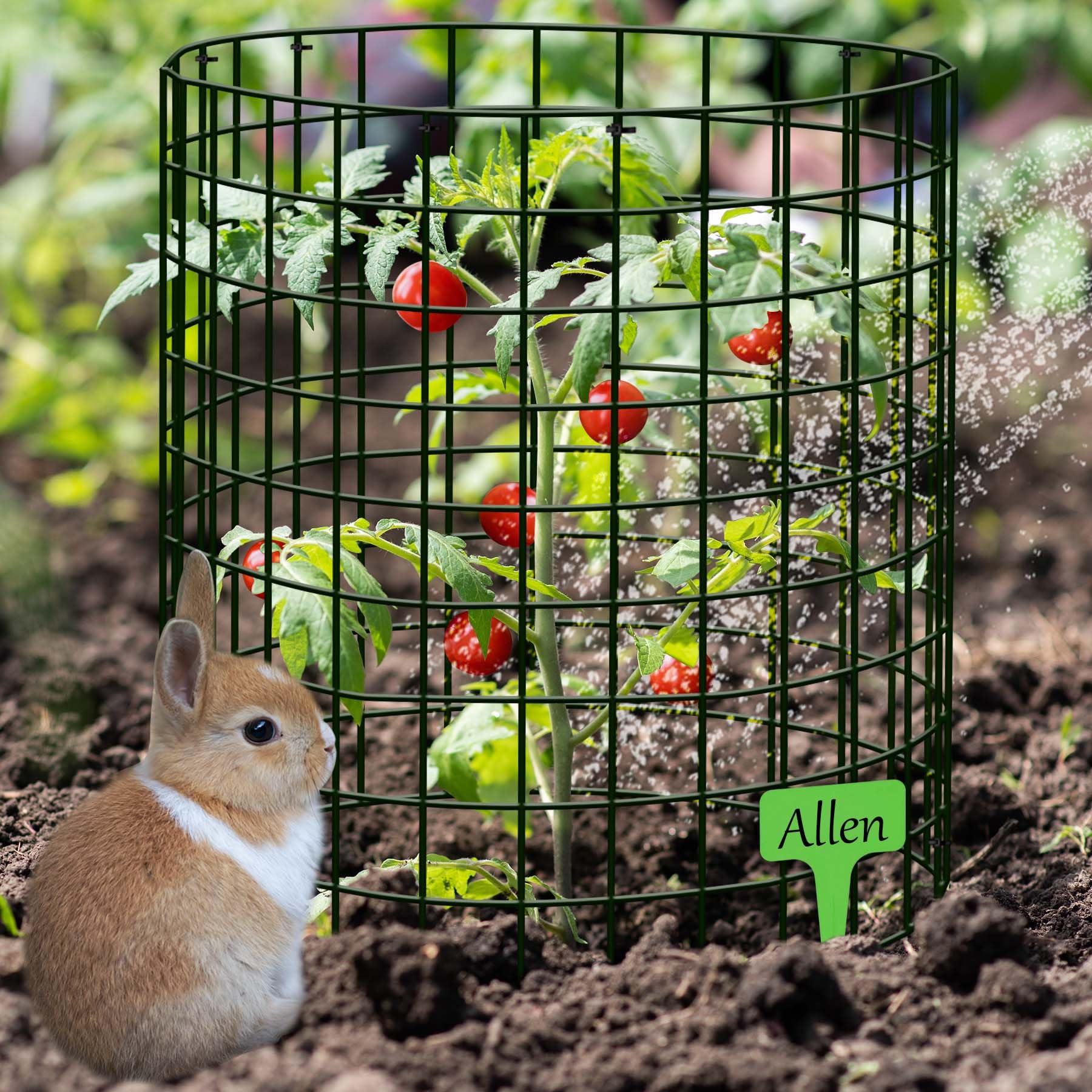 ZOKCC cages stand 13.7 inches tall for roomy plant protection.