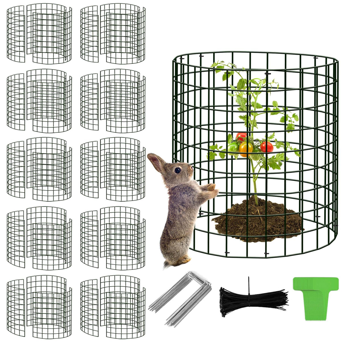 ZOKCC plant cages demonstrate quick assembly for garden protection against nibblers.