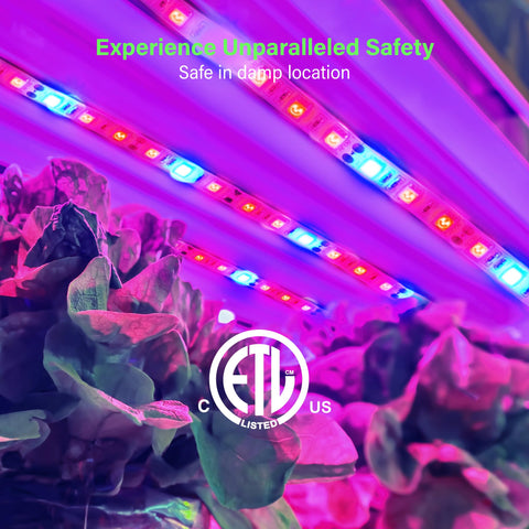 ZONE INDUSTRY CORP. ETL-listed LED tape ensures safe operation indoors.
