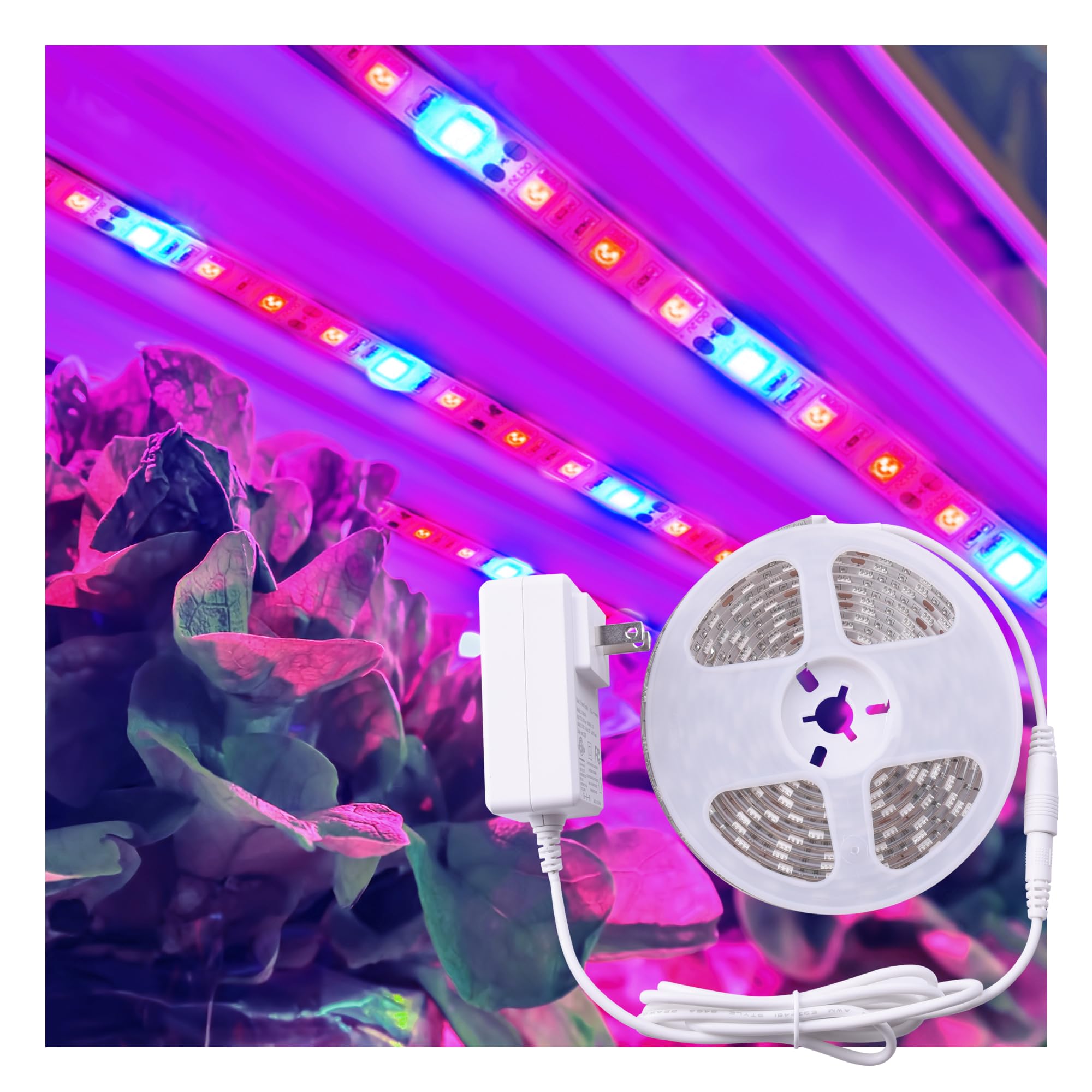 ZONE INDUSTRY CORP. Full Spectrum LED Grow Light Tape illuminating thriving indoor plants for seedlings and herbs.