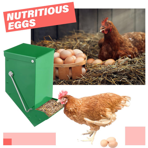 Zonon red-green design aids quick identification of feed types.