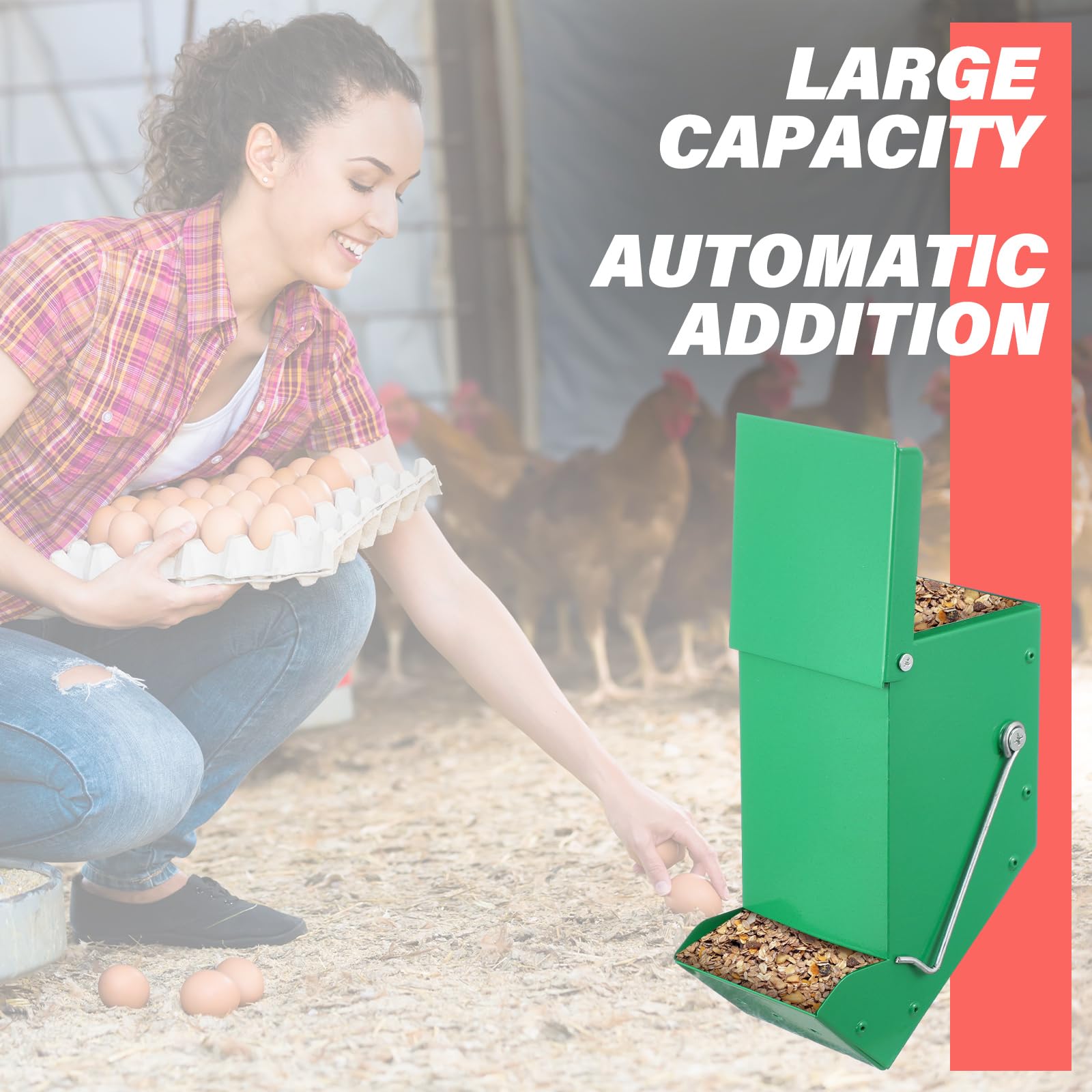 Zonon oyster shell feeder with top cover, keeps feed clean.