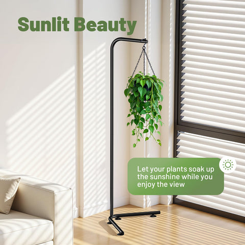 Zononoca suction base plant hanger provides stable display without drilling