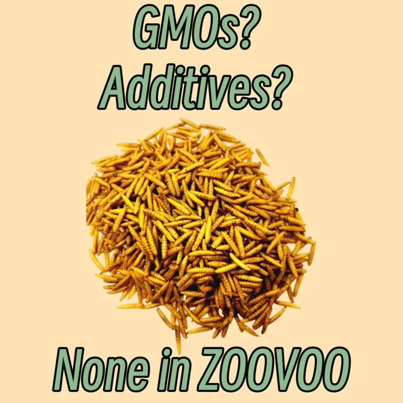 ZOOVOO slow-roasted crunchy bites in feeding bowl