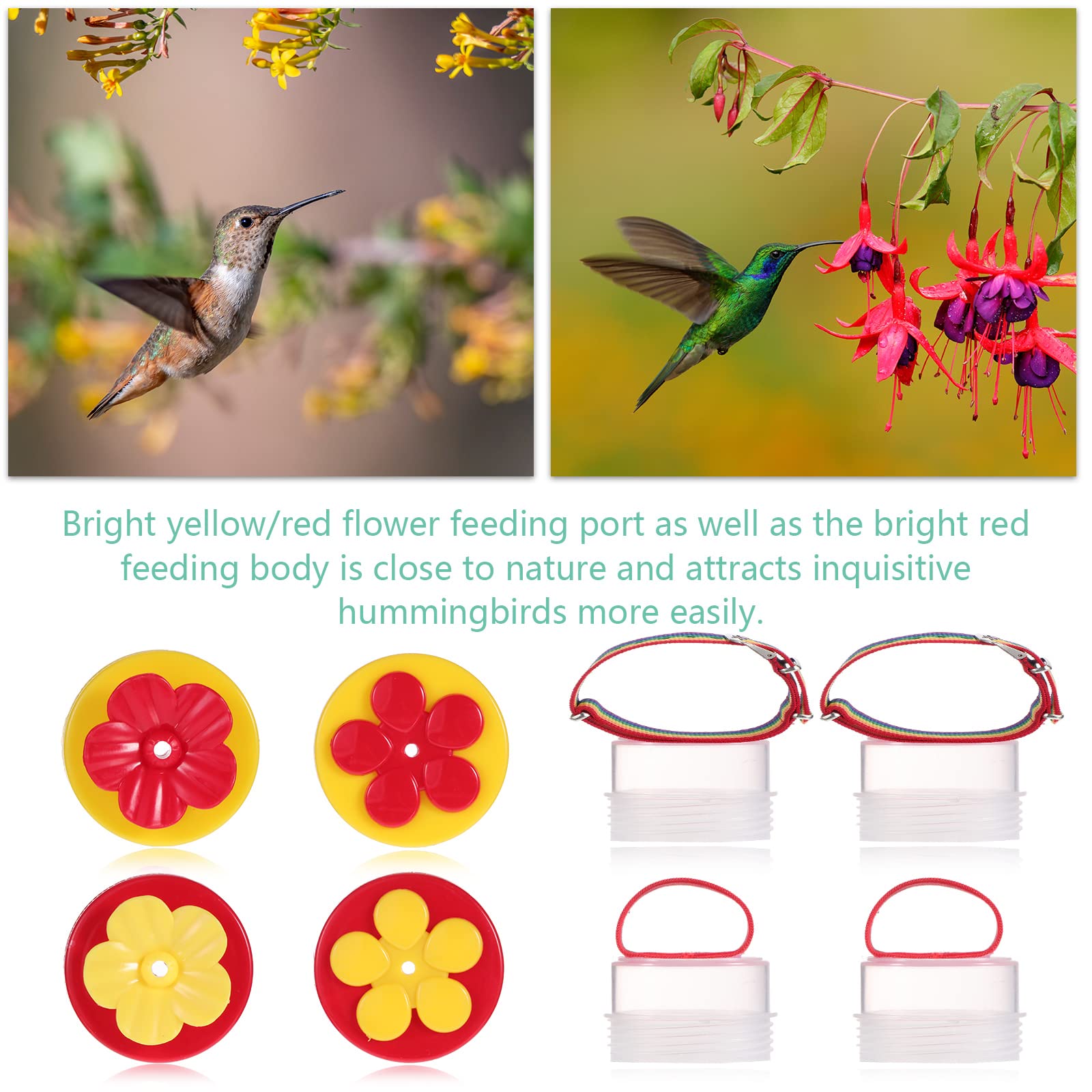 Zopeal colorful set draws hummingbirds from your garden to your hand.