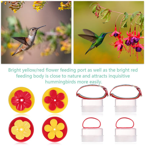 Zopeal colorful set draws hummingbirds from your garden to your hand.