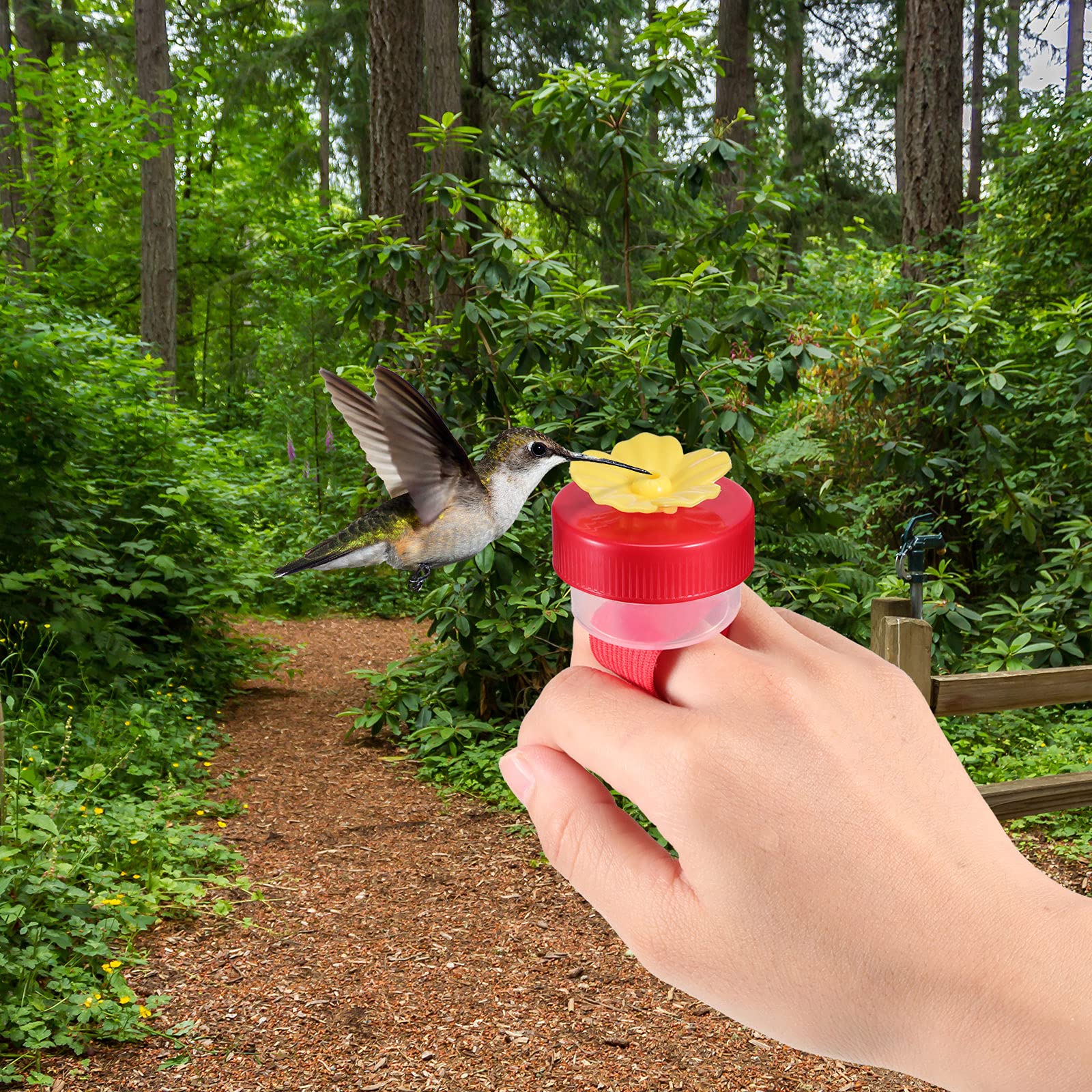 Zopeal flower feeder offers natural observation moments with perched hummingbirds.