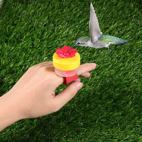 Zopeal ring feeder designed for observing hummingbirds up close