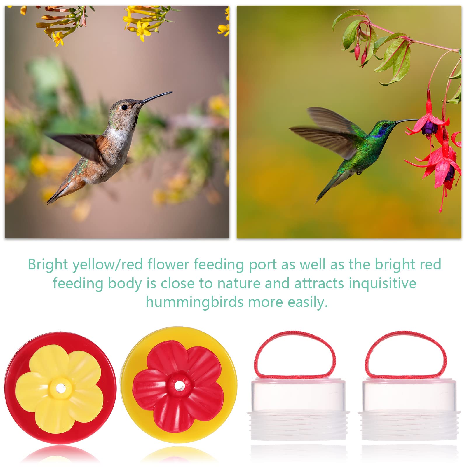 Zopeal hummingbird ring feeder two-piece set invites nature viewing