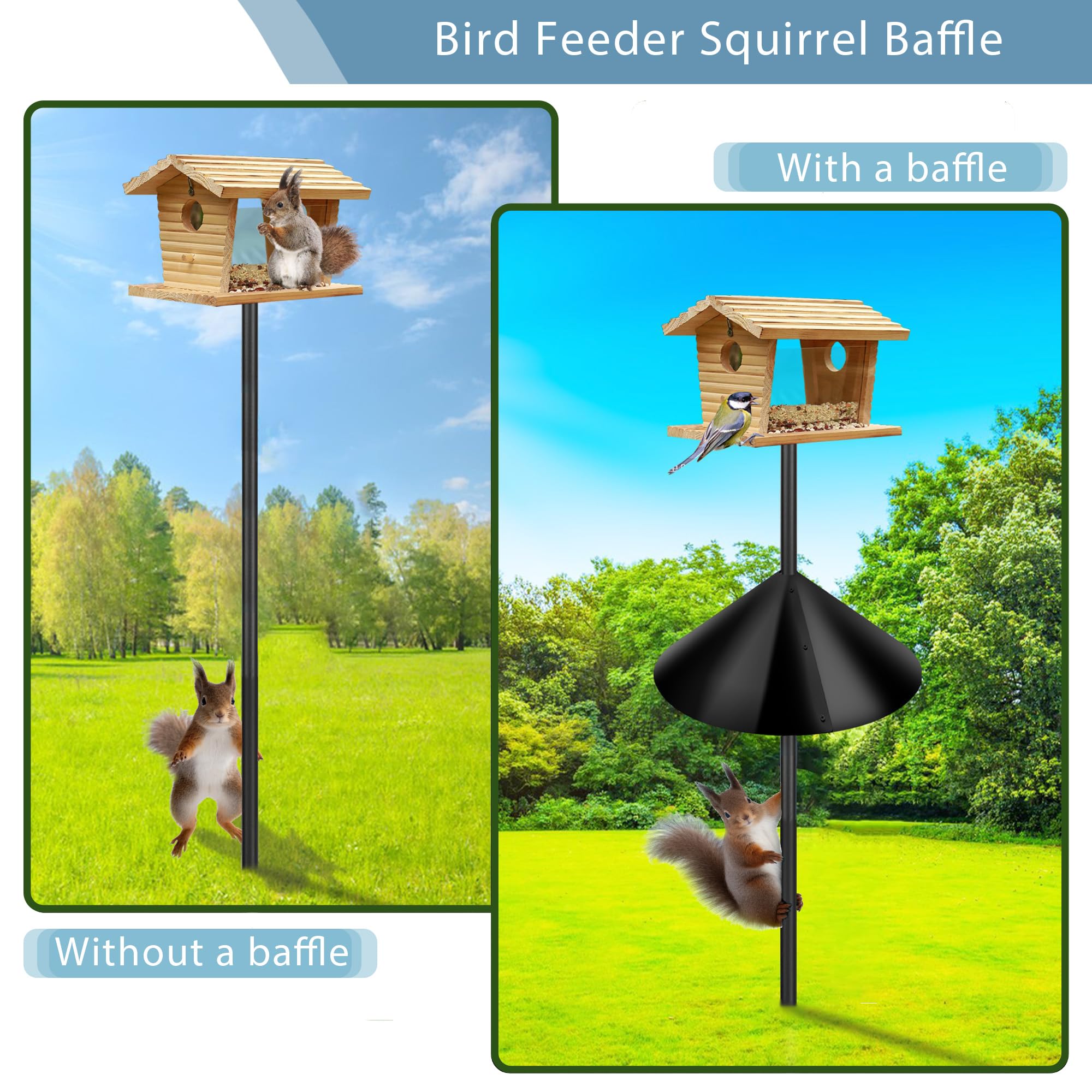 Zopkrts Squirrel Baffle in a backyard feeder scene keeping birds undisturbed