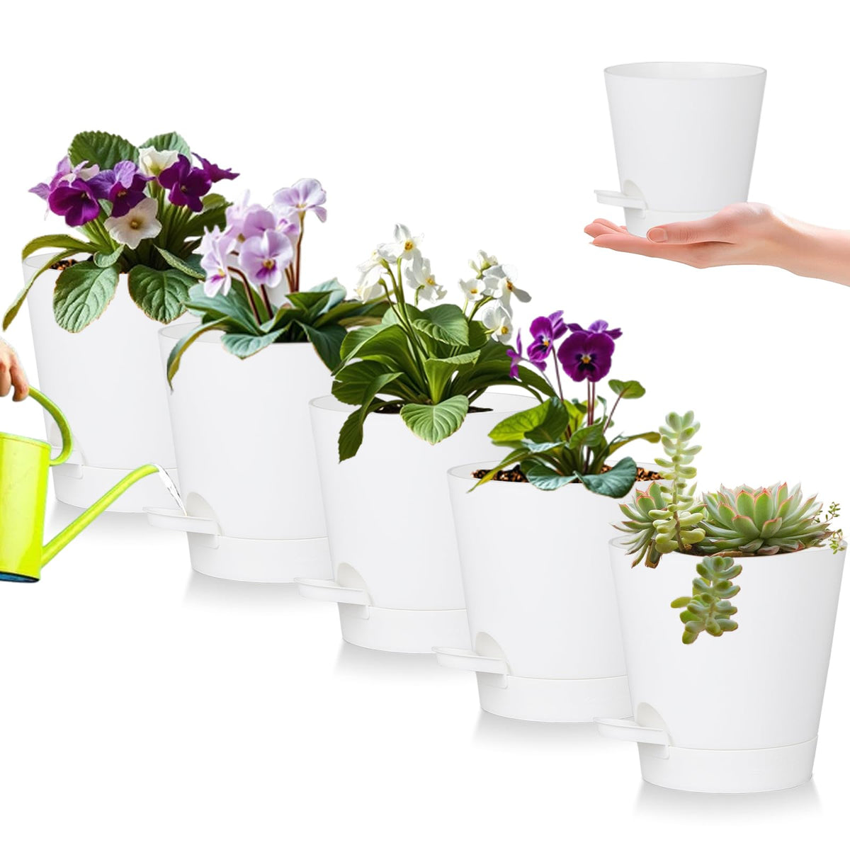 Zople 5-inch self-watering pot in white for indoor plant setups with a reservoir