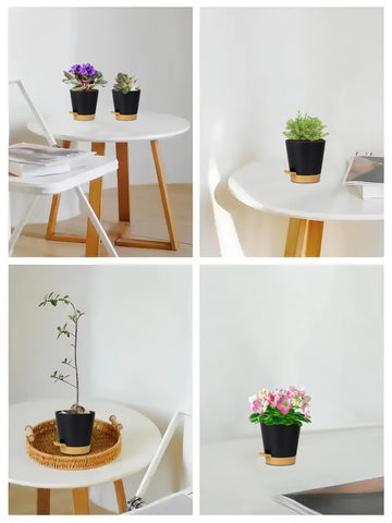Set of five Zople 5in self-watering pots packaged together