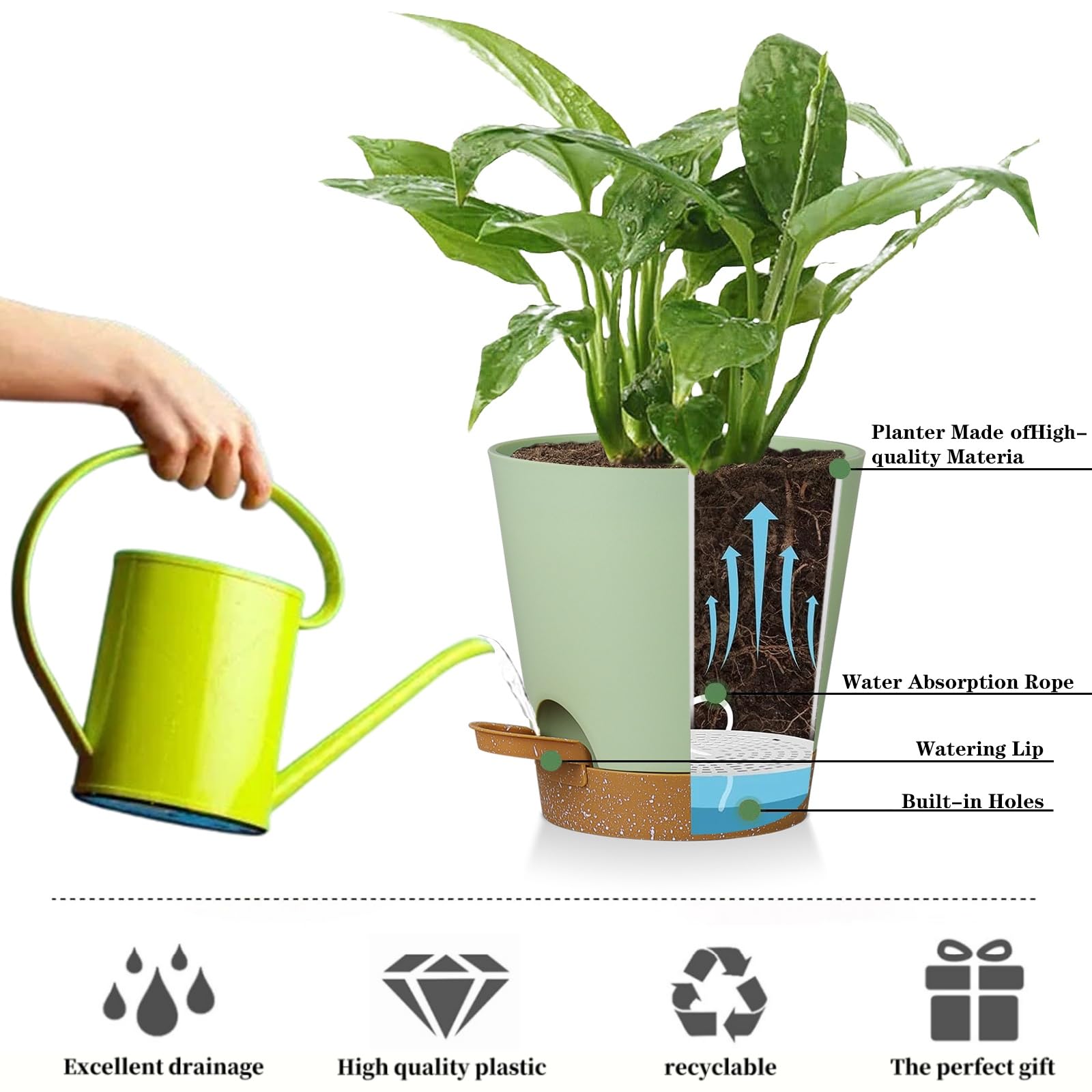 Zople pot with bottom reservoir for convenient watering