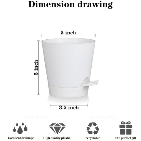 Zople bottom-tray design enables bottom watering while preventing overwatering and root stress