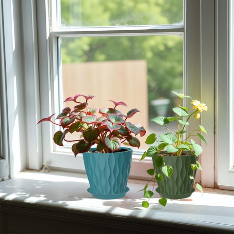 Zople durable lightweight plastic pots are easy to reposition.