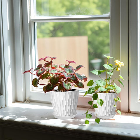 Zople ideal for houseplants and herbs, supporting healthy growth