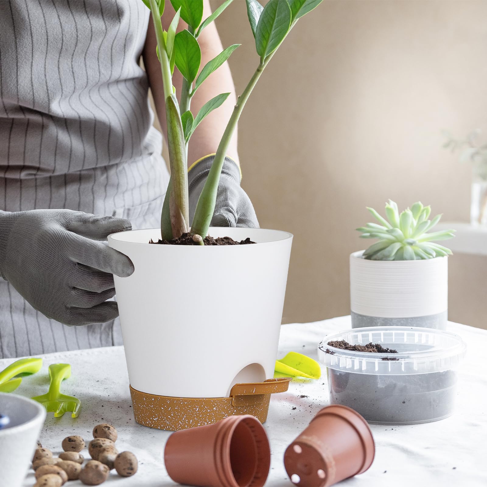 Indoor-outdoor gardening with Zople 5in pot set on shelves