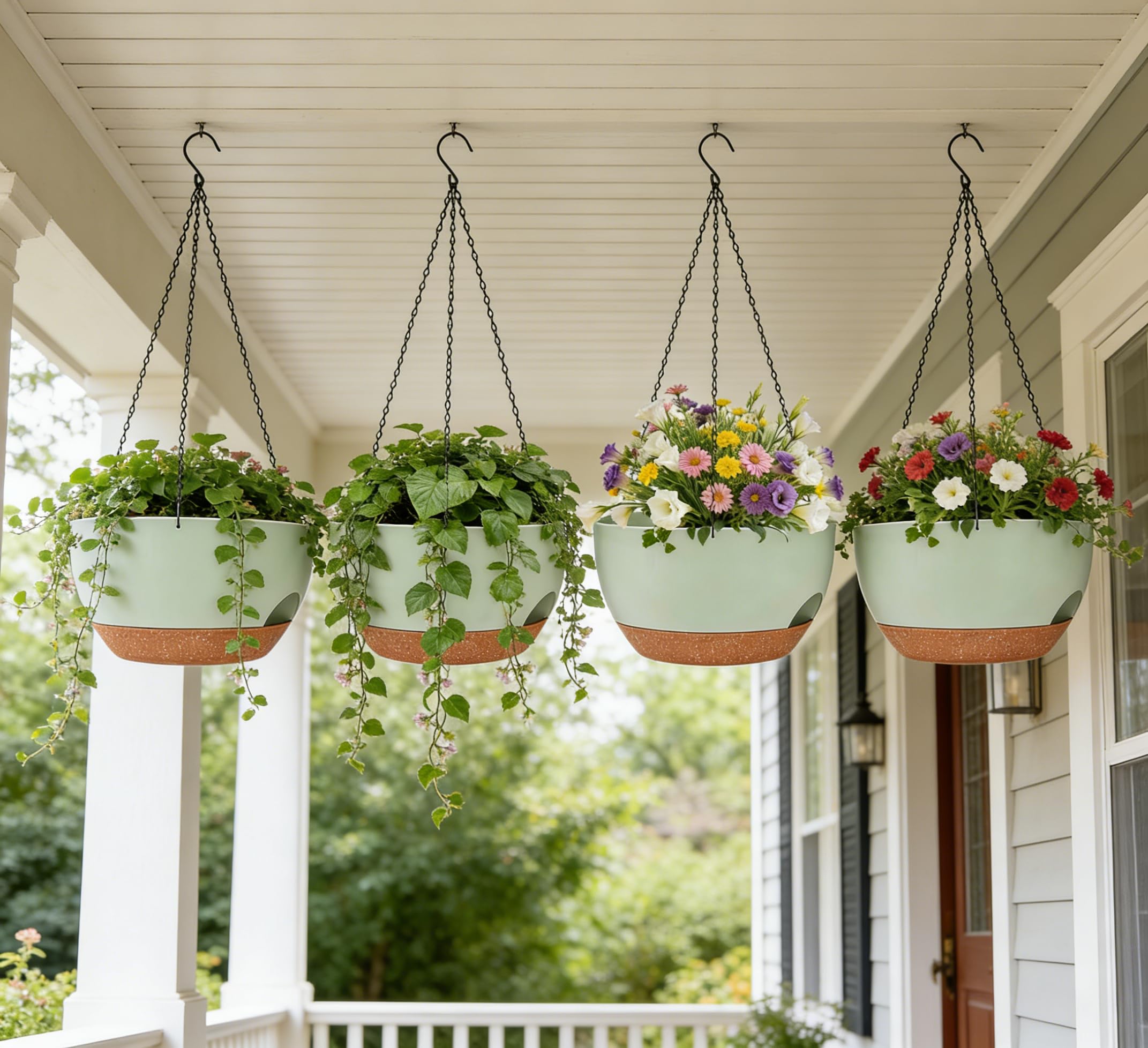 Zople ivy and pothos thrive in 8-inch planter display