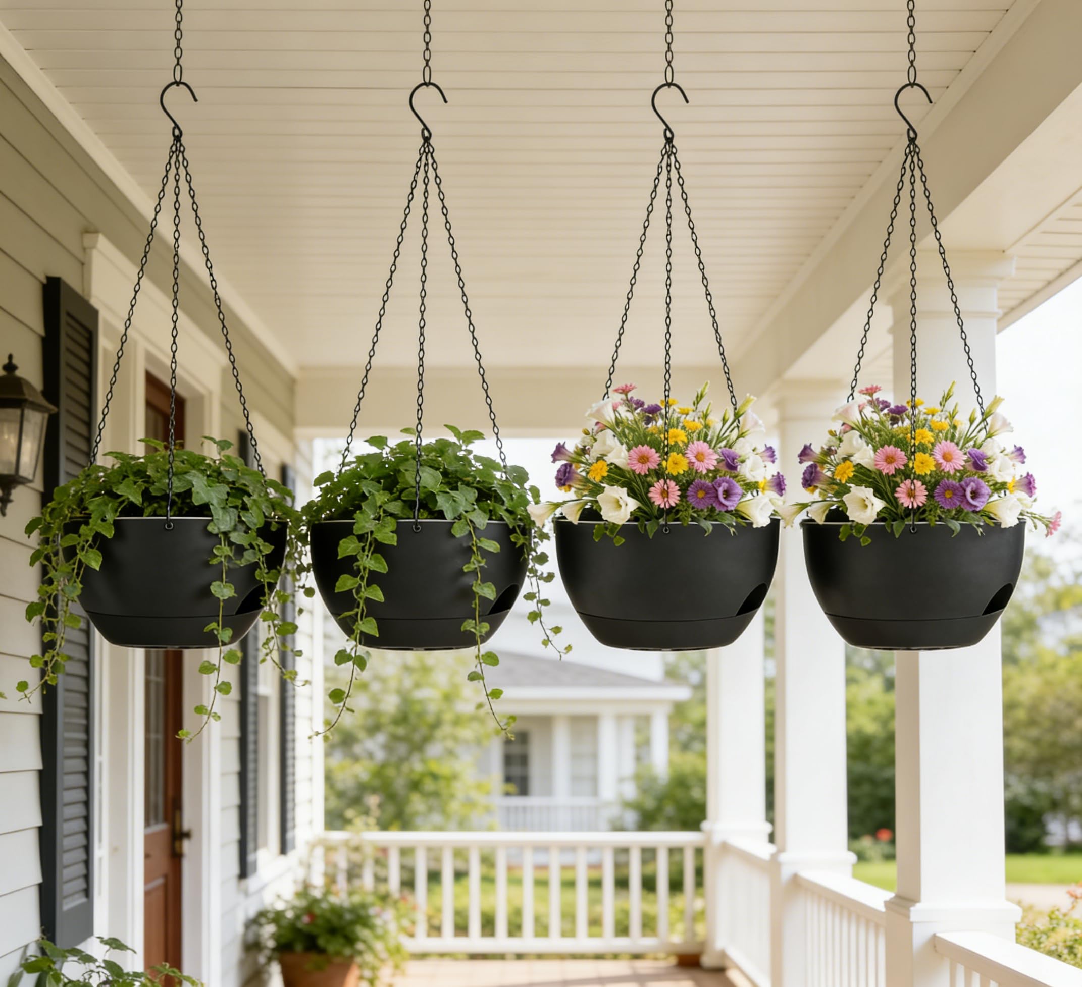 Zople compatible with ivy, pothos, and ferns for lush corners.