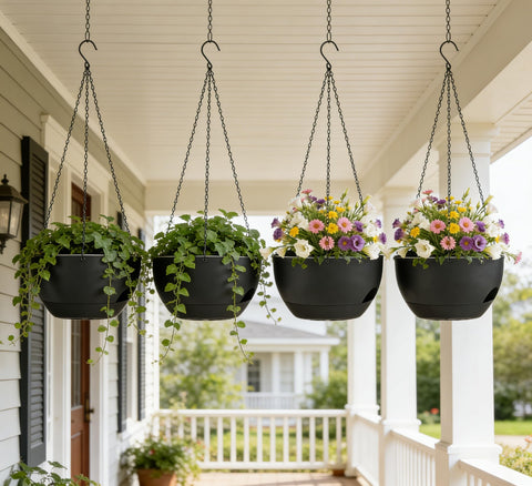 Zople compatible with ivy, pothos, and ferns for lush corners.