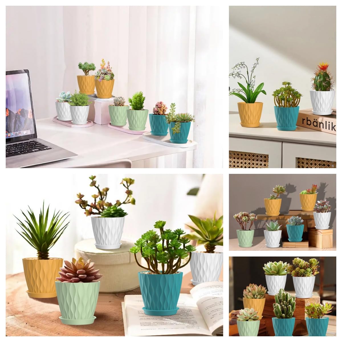 Zople multi-color planter pots enhance decor while growing plants