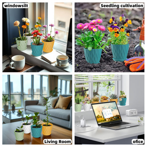 Zople planters with trays catch water to keep surfaces clean