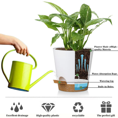 Durable polypropylene 3mm walls of Zople 5in pot for sturdy support