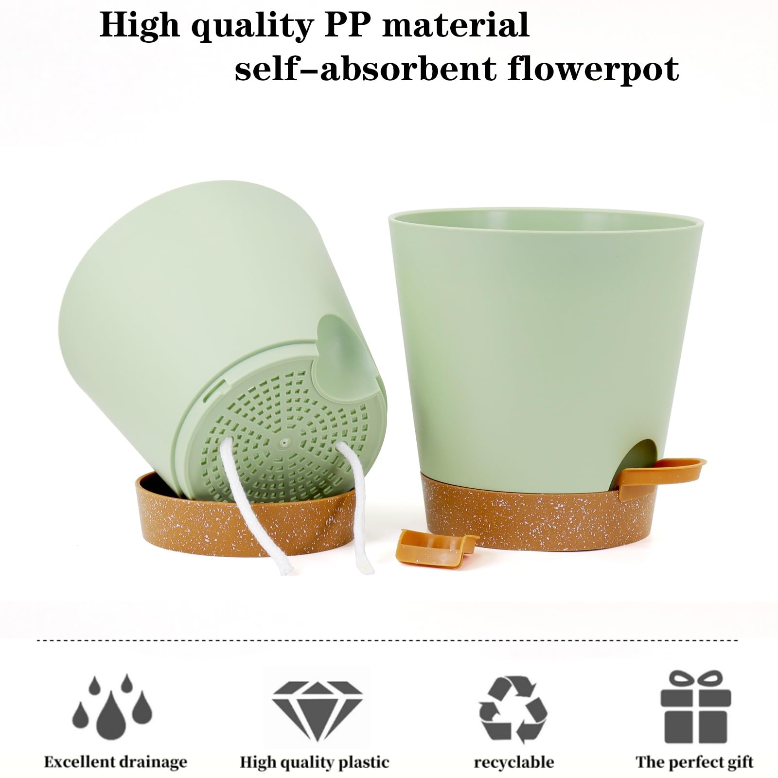 Zople succulent pot supporting low-maintenance displays