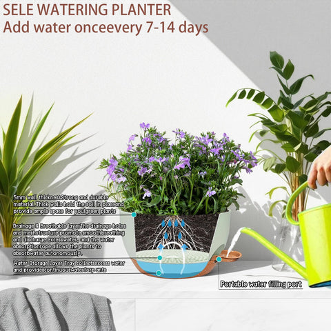 Zople UV- and frost-resistant plastic endure sun and cold