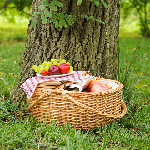 ZORMY lightweight picnic basket designed for easy carrying on hikes.