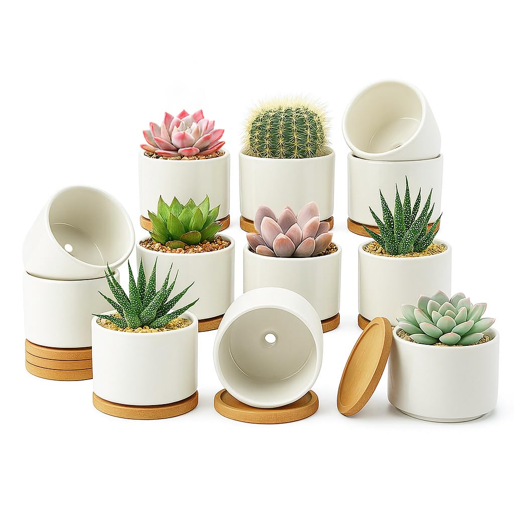 ZOUTOG ceramic succulent pot 3.6 inch with drainage for healthy indoor plants.