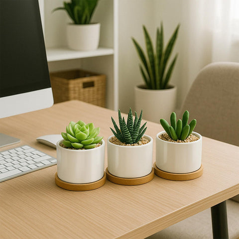 ZOUTOG compact planter set ideal for windowsills and tabletops