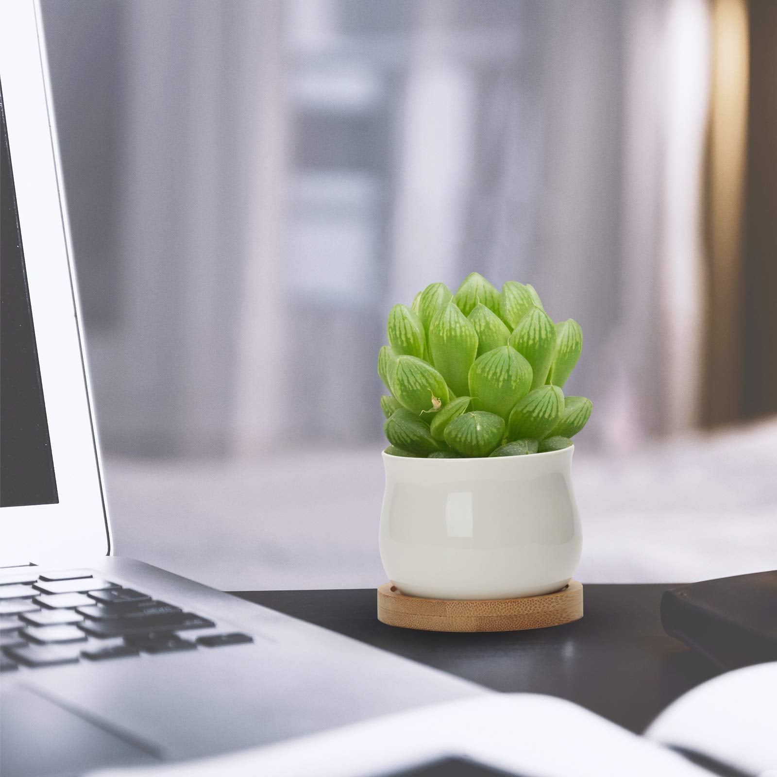 ZOUTOG compact planters fit tight corners and shelves