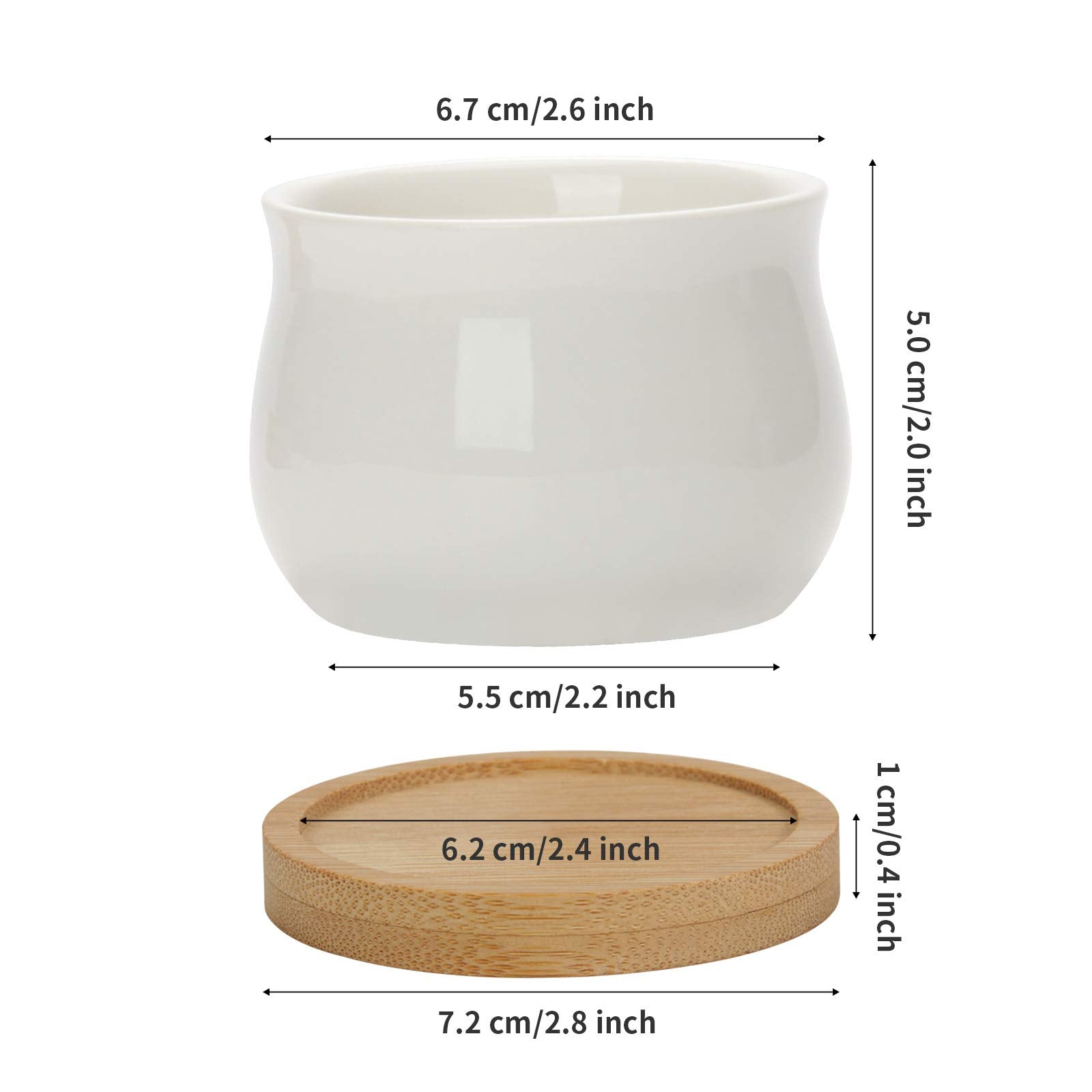 ZOUTOG small display pot for indoor gardens on a windowsill
