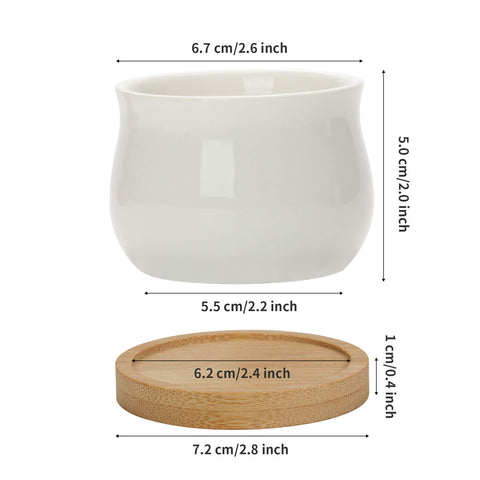 ZOUTOG small display pot for indoor gardens on a windowsill