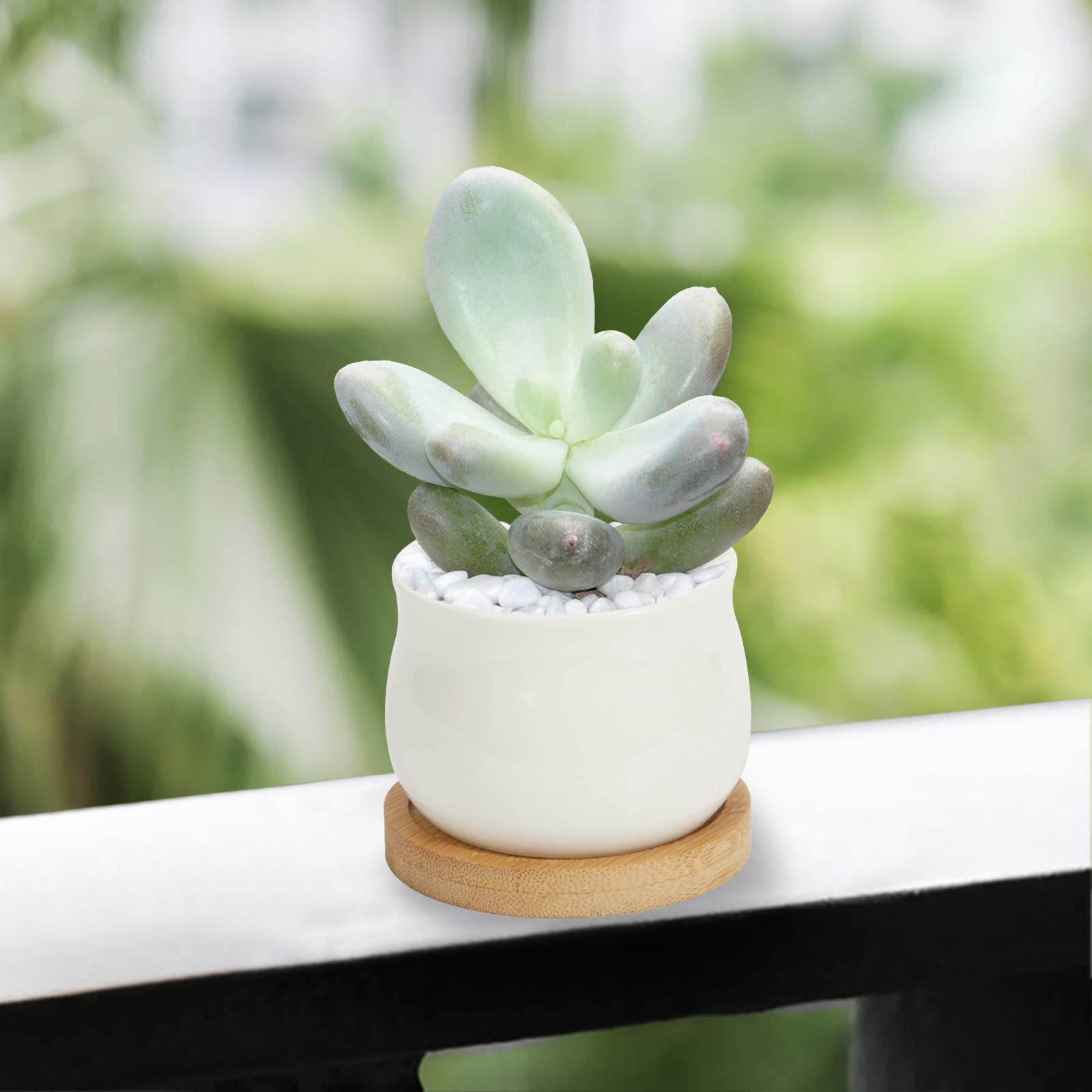 ZOUTOG DIY friendly ceramic pots ready for customization