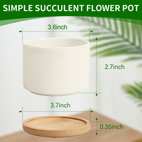 ZOUTOG drainage hole with bamboo tray helps prevent water overflow on desks.